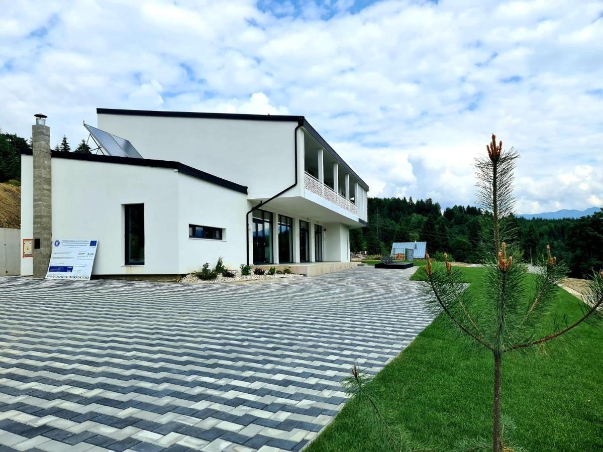Pensiunea Ddc Колибица Экстерьер фото