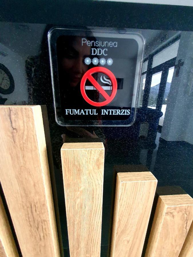 Pensiunea Ddc Колибица Экстерьер фото